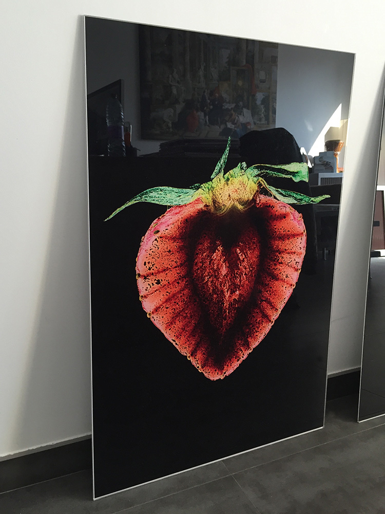Plexi 5mm, vue 7